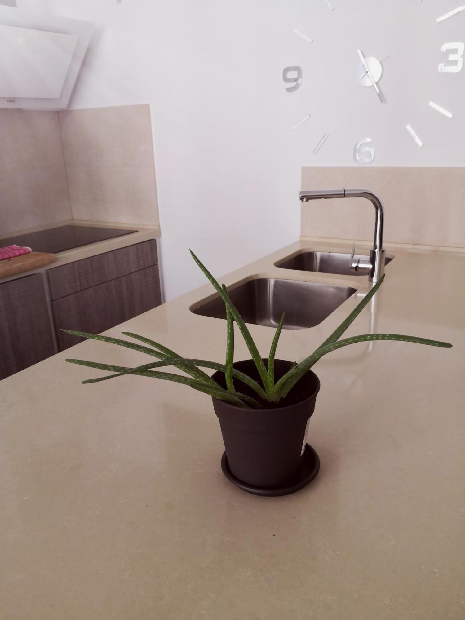 Vista Triangular Apartment *